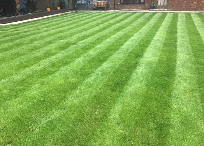 We also offer tailor-made maintenance
						programmes for all our soft landscaping projects 
