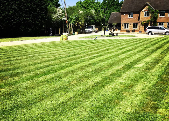 Turfing and lawn maintenance in Winkfield